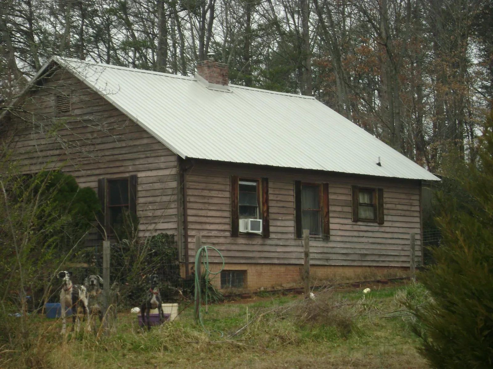 White metal roof on an old wood sided farmhouse, from a Asphalt Shingle Roof Repair job in Pilot Rock